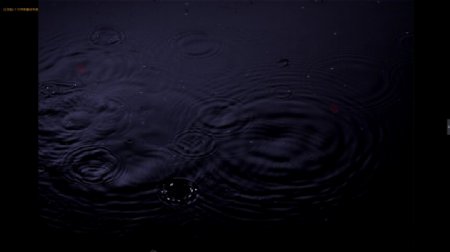 雨水落入水中标清实拍视频素材