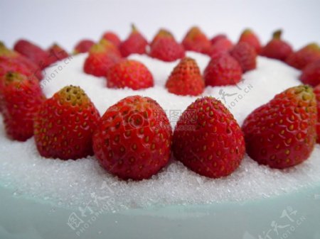 砂糖上的草莓