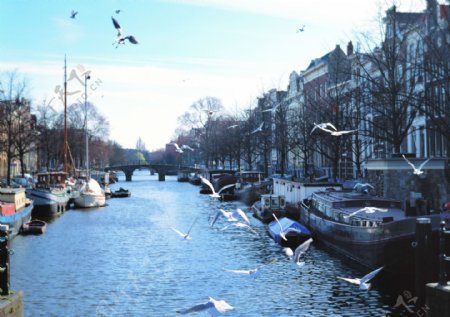 欧洲建筑河道船只影楼摄影背景图片