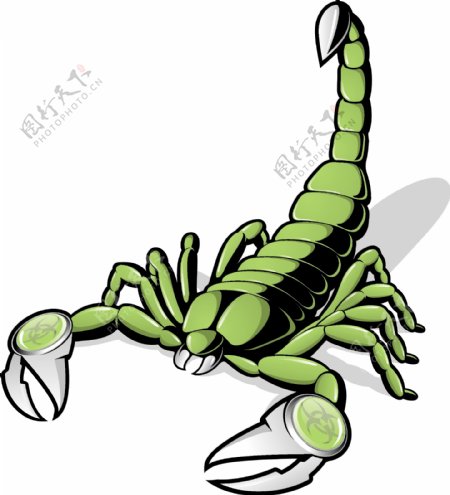 绿色的蝎子手绘矢量素材