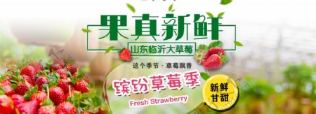 新鲜草莓水果banner