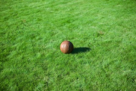 草地上的球风景图片