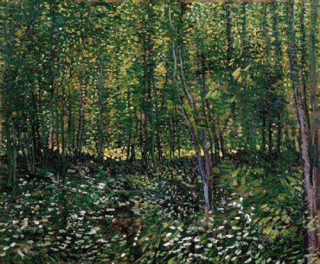 森林风景油画写生图片
