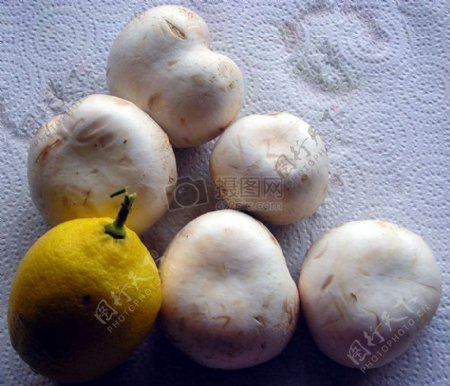 清新的蘑菇和柠檬