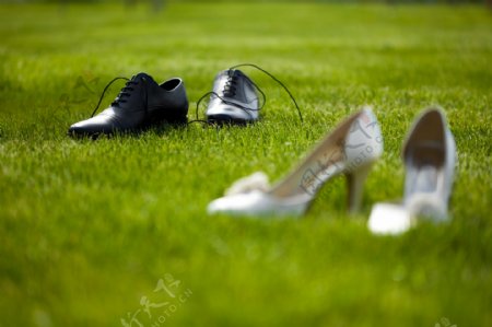 草地上的婚礼皮鞋图片