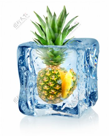 冰冻的菠萝图片