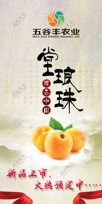 水果堂琅珠X展架海报设计