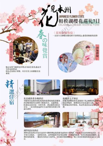 日本彩页樱花季旅游DM宣传单