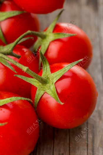 新鲜番茄摄影图片