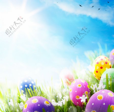 阳光下的复活节彩蛋图片