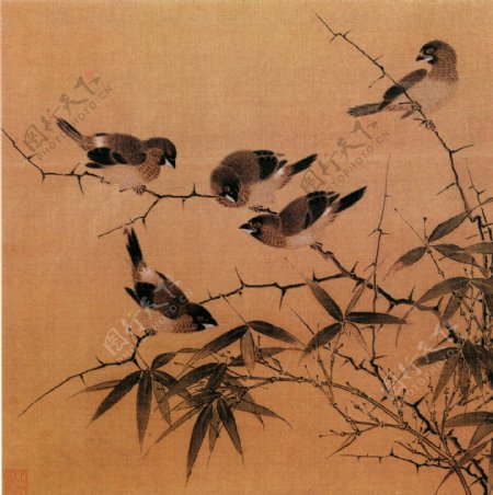 国画麻雀竹子图片