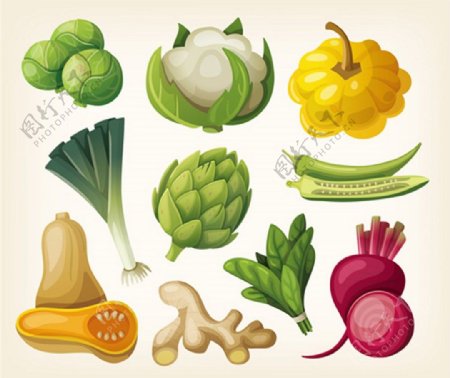 健康蔬菜矢量背景