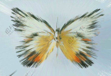 蝴蝶花纹背景素材图片