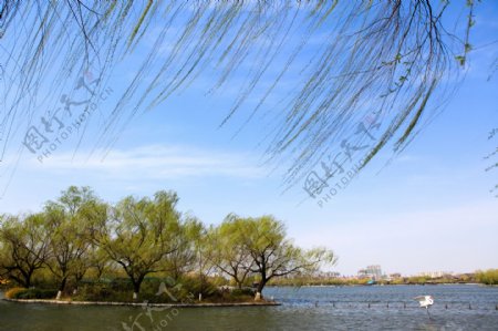 湖边风光摄影图片