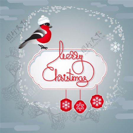 圣诞节标签和小鸟图片