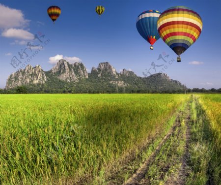 绿色田野上空的热气球图片