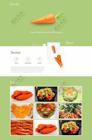 胡萝卜蔬菜网页素材