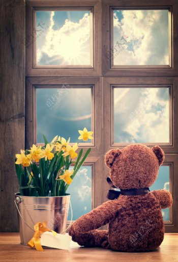 窗户前的鲜花泰迪熊