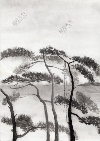 水墨风景松树图片图片