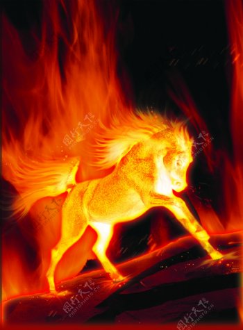 燃烧的马图片