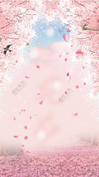 粉色浪漫春天樱花贺卡H5背景