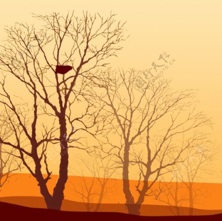 夕阳下沙漠大树黄昏图装饰画