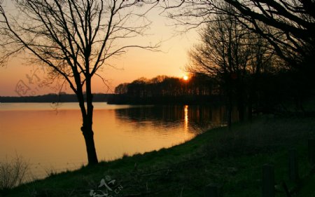 夕阳下湖水和树风景图片