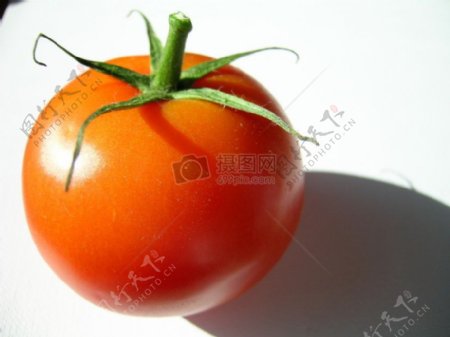 一颗红色的西红柿