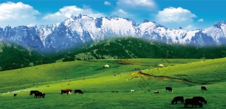 新疆风景图