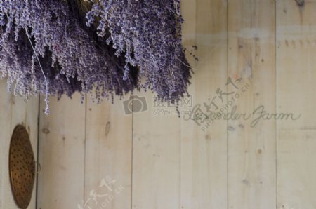 木材干燥墙农场植物花卉装饰装潢装饰熏衣草