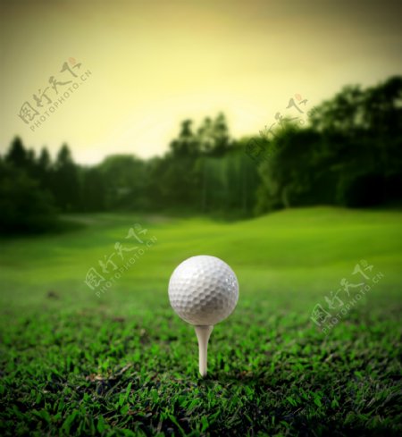草地上的高尔夫球写真图片