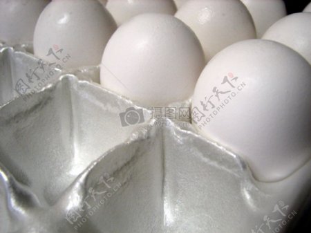 蛋托里的鸡蛋
