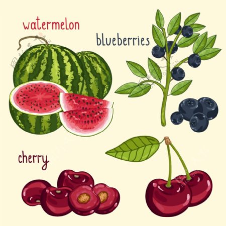 4款彩绘水果设计矢量