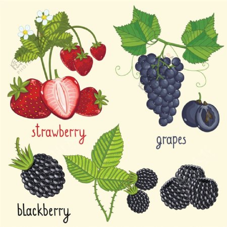 草莓和葡萄图片