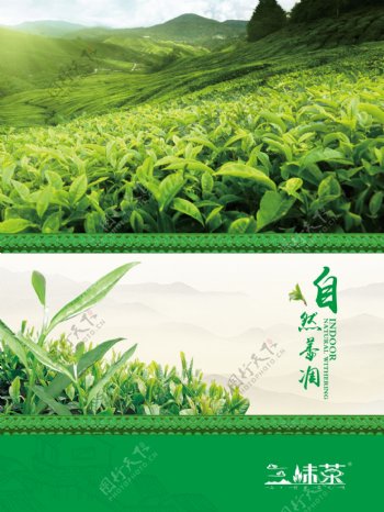 茶文化茶叶绿茶背景