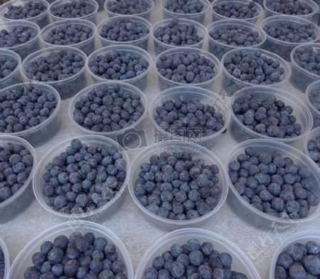 碗碟里的蓝莓