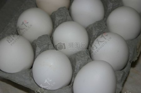 一排白色的鸭蛋