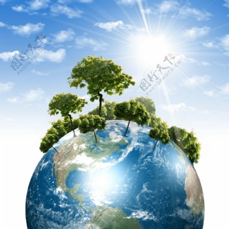 创意地球与树木图片