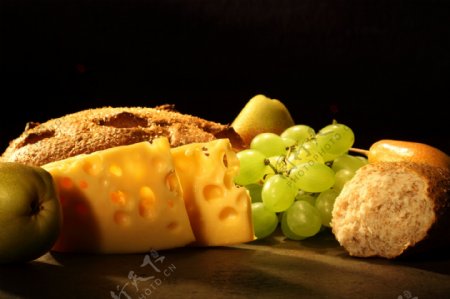 奶酪04图片