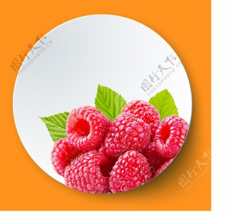 树莓盘子