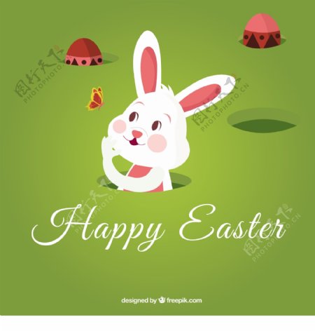 复活节和白兔子的卡片