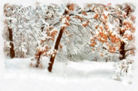 雪地上的美丽树木图片