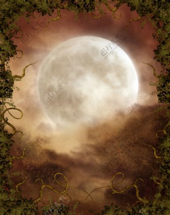 植物藤蔓与月亮背景