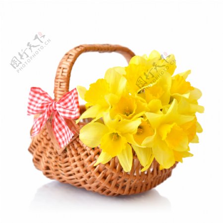 篮子的黄色花朵图片