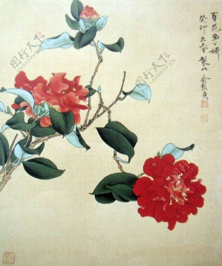 花卉叶子油画图片