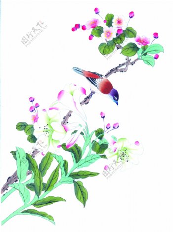 水墨鸟类植物绘画图片