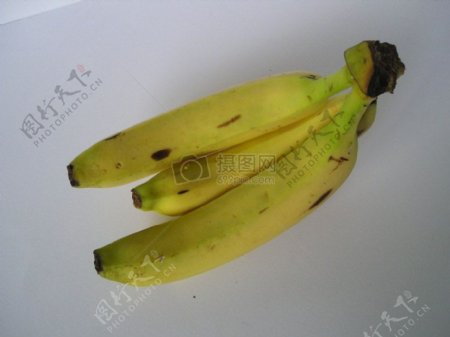 Bananas7.JPG