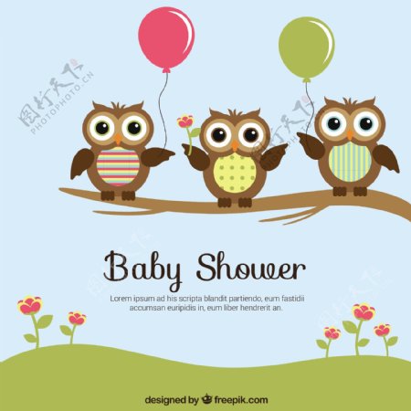 婴儿沐浴卡与可爱的猫头鹰