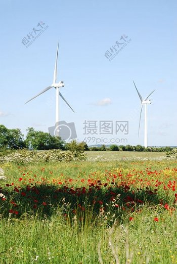 田野中的环保风车