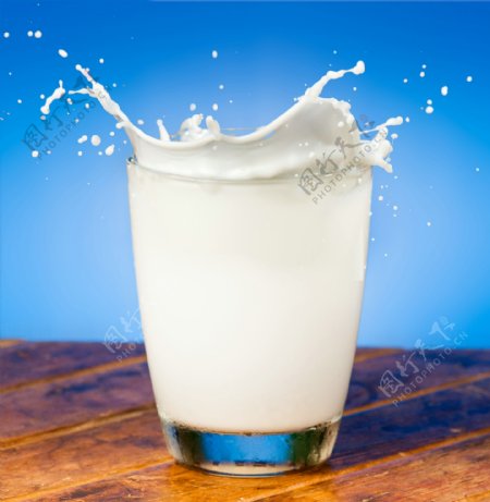 杯子里溅起的牛奶图片
